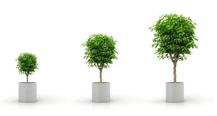 © Tweeter Linder 2015 – All rights reserved. Photo by iStock