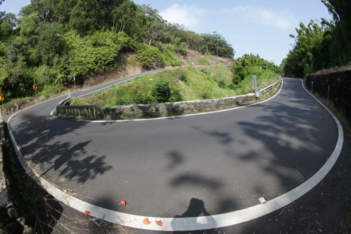 Purple #18- Hana U Turn