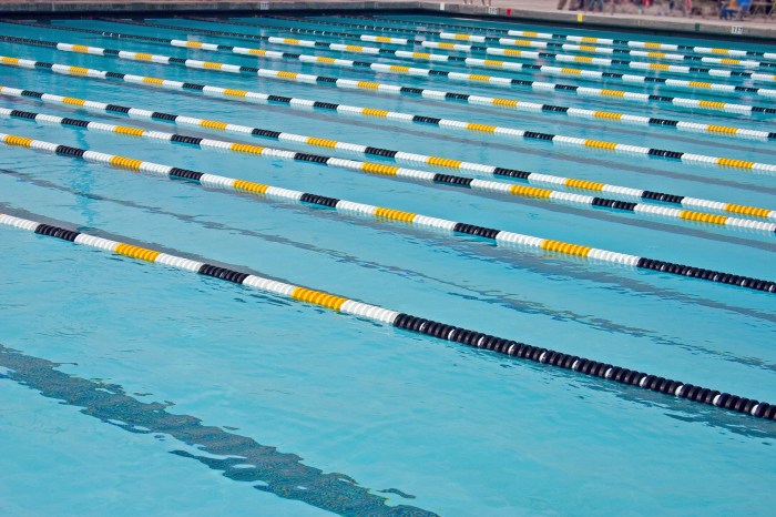 Purple #8 - iStock_000000596504_Large