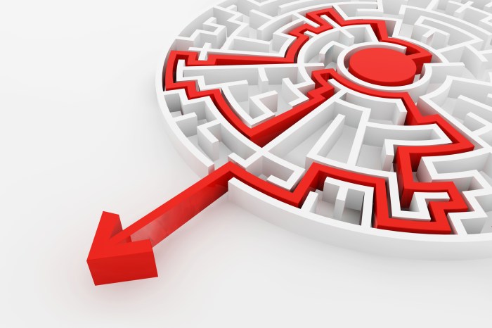 White maze and solution line, complex way to find exit.